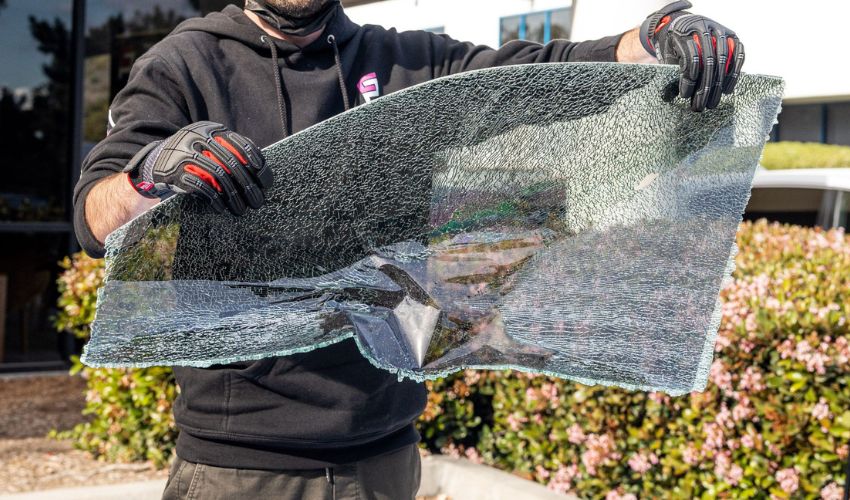 Can Window Tint